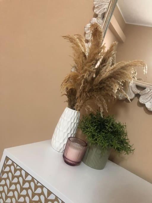 Apartment Casalotto